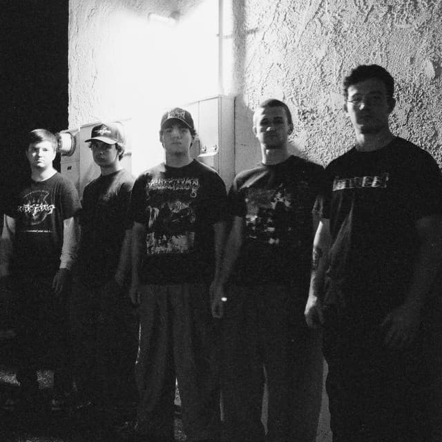 Watch You Fall artist profile image