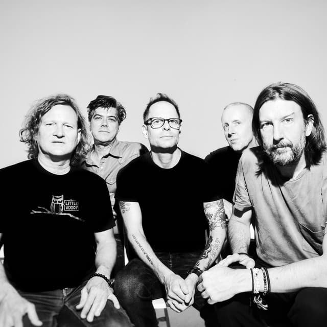 Gin Blossoms's artist profile image