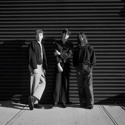 The Backfires's artist profile image