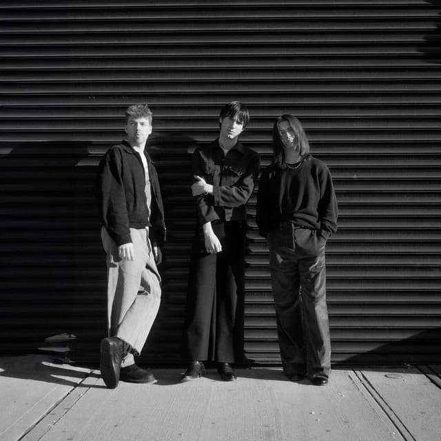 The Backfires artist profile image