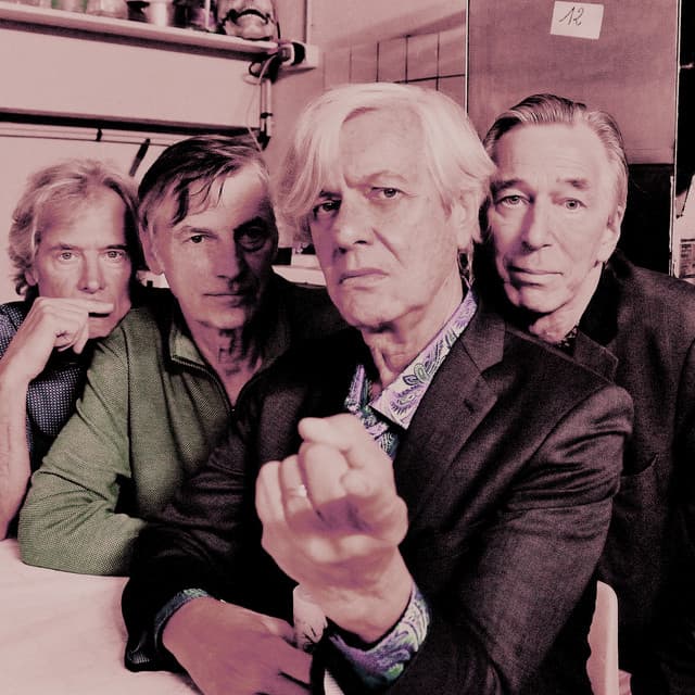 The Fleshtones artist profile