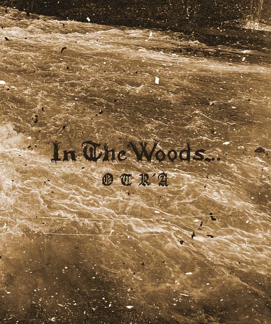 In The Woods... artist profile image