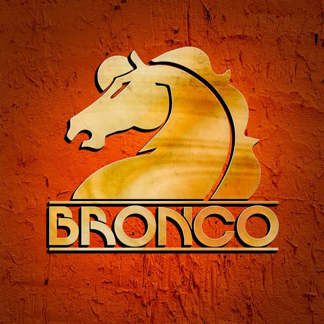 Bronco artist profile image