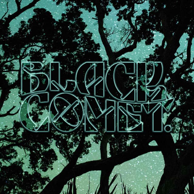 Black Comet artist profile image