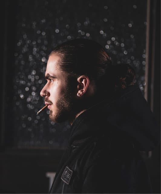 zwilling. artist profile