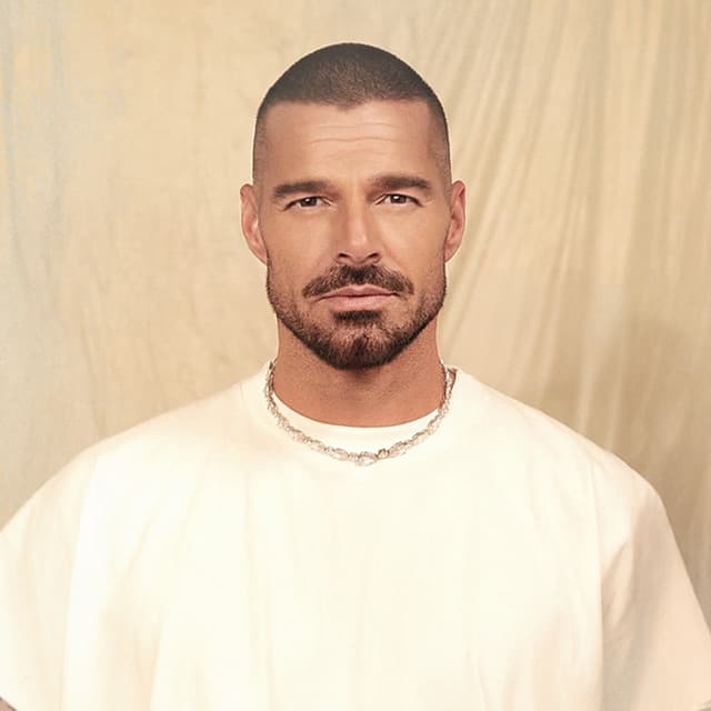 Ricky Martin's artist profile image