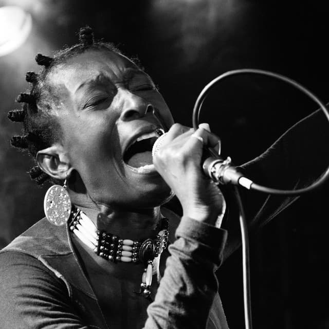 Alison Limerick's artist profile image