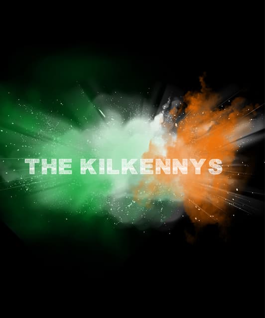 The Kilkennys artist profile image
