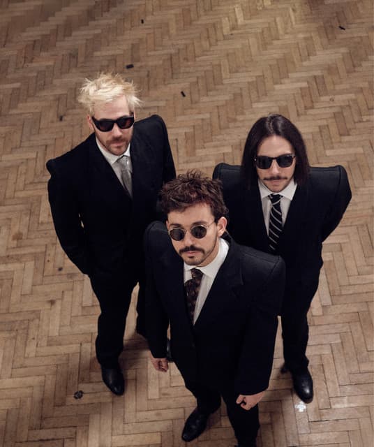 Los Mesoneros artist profile