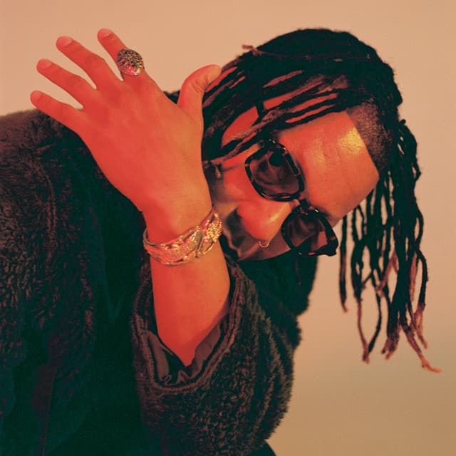 Vindata artist profile image