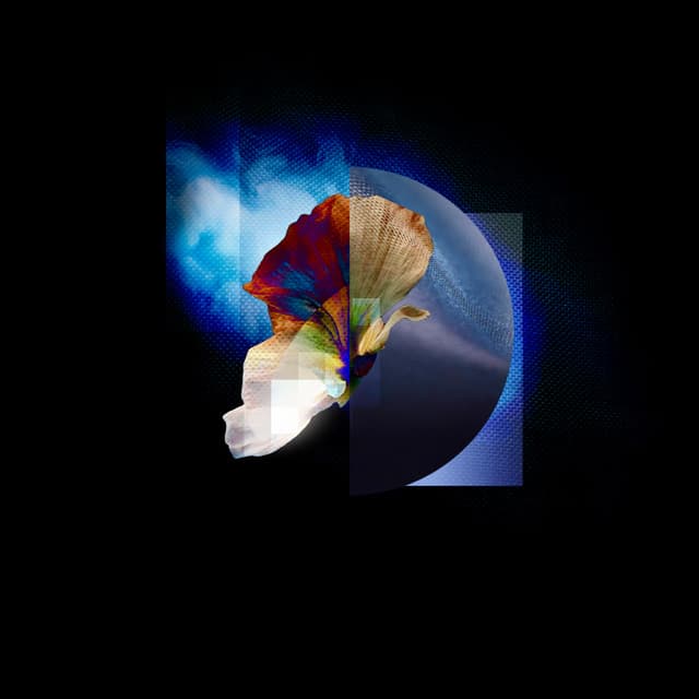 Sungazer's artist profile image