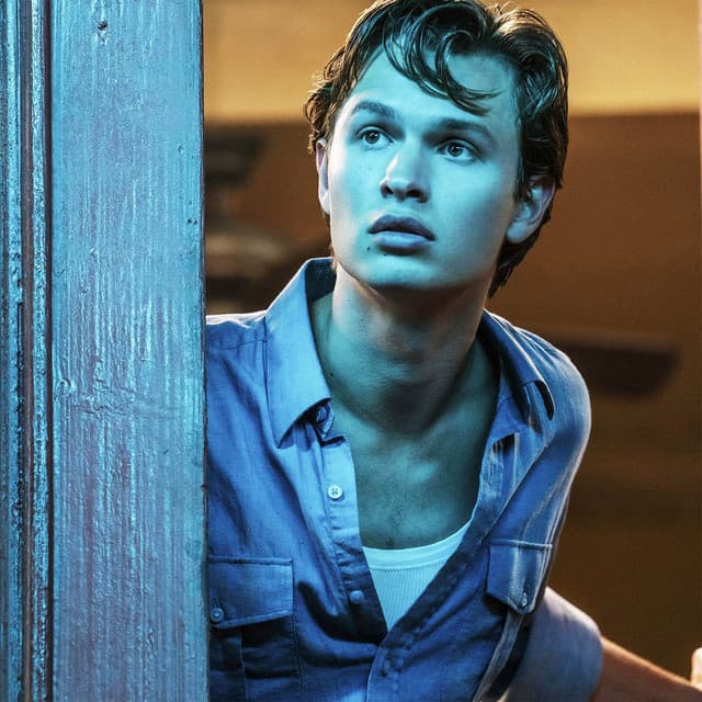 Ansel Elgort profile