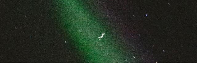 chief. artist profile image