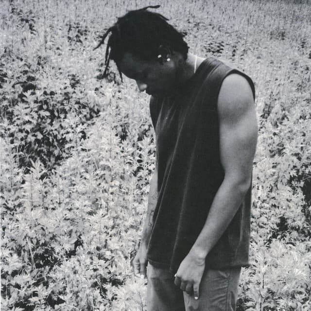 Montell Fish artist profile
