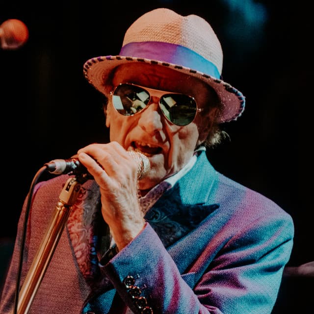 Van Morrison artist profile image