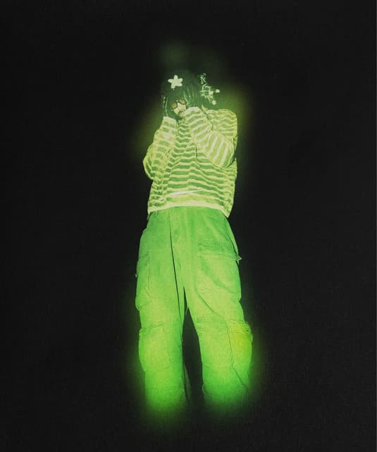 Hiko Momoji artist profile image