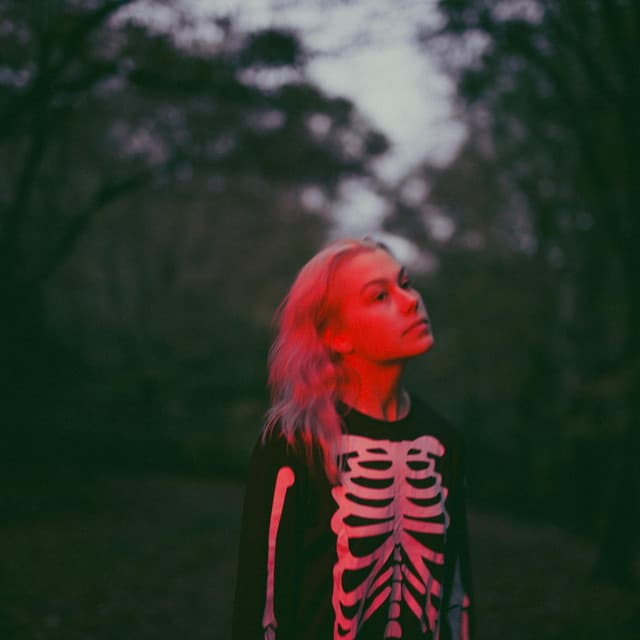 Phoebe Bridgers artist profile image