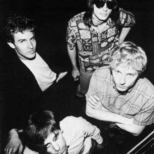 The Dream Syndicate artist profile image