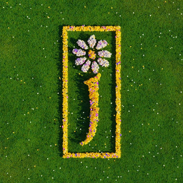 James's artist profile image