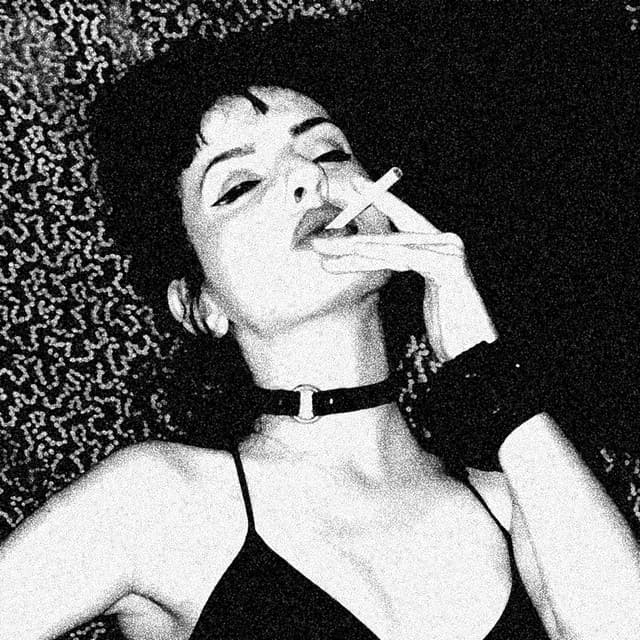 Foie Gras artist profile image