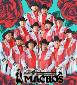 Banda Machos's artist profile image