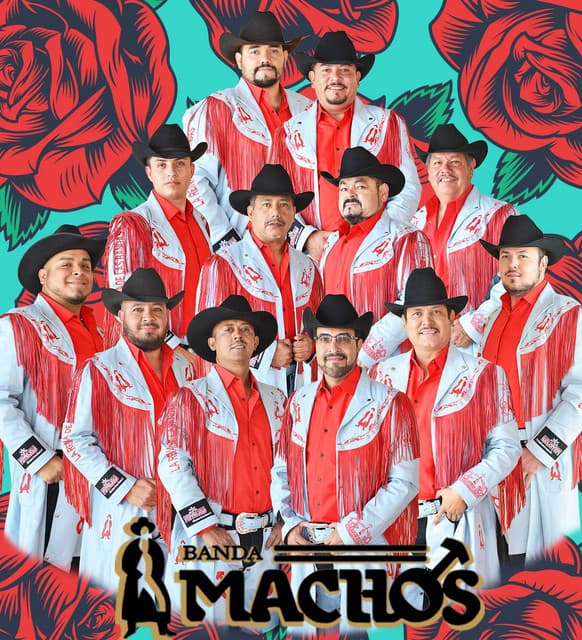 Banda Machos's artist profile image
