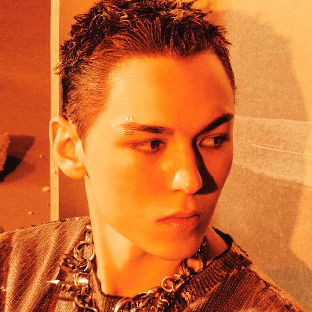 VERNON artist profile image