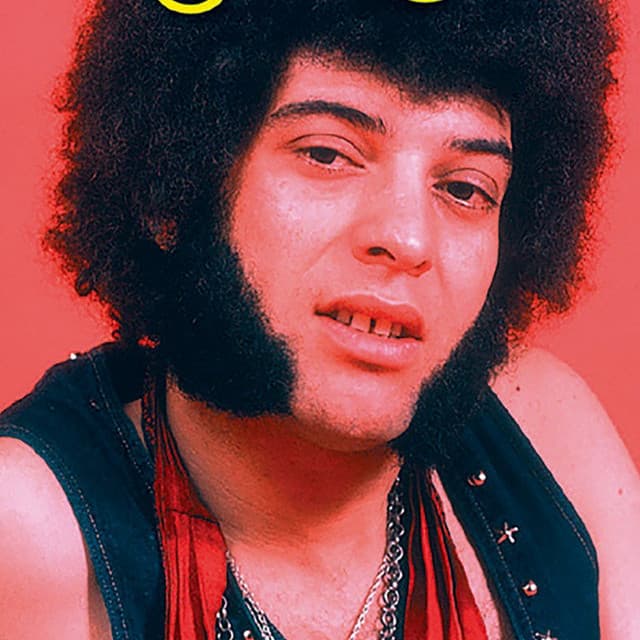 Mungo Jerry artist profile image