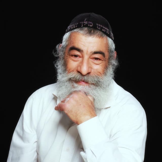 Ariel Zilber artist profile image