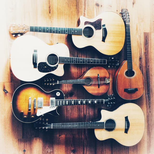 Whalebone artist profile image