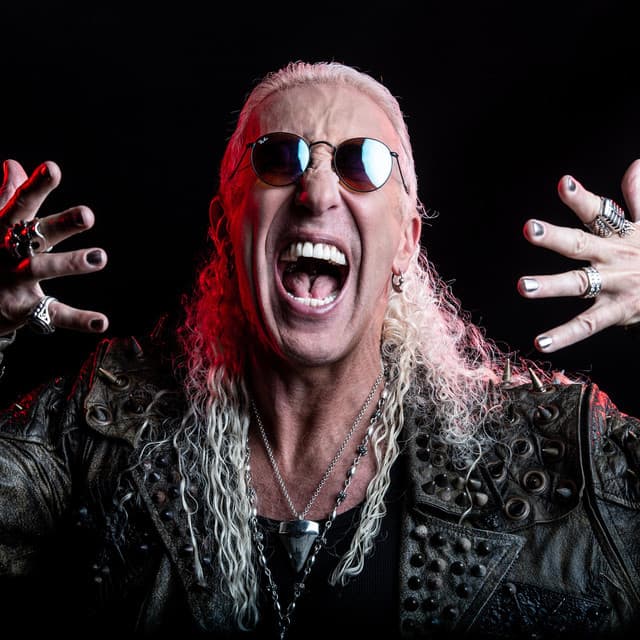 Dee Snider's artist profile image