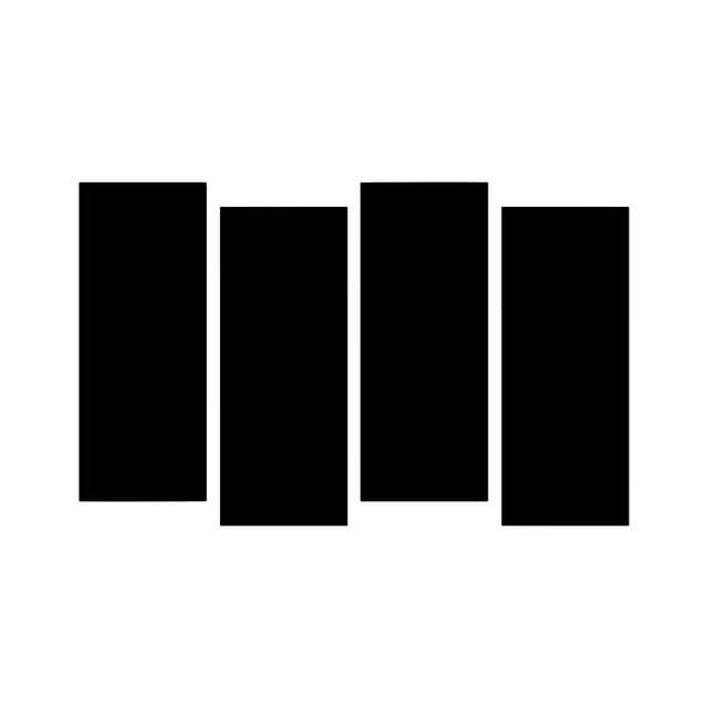 Black Flag's artist profile image