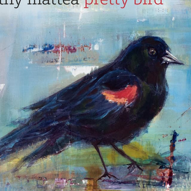 Kathy Mattea artist profile image