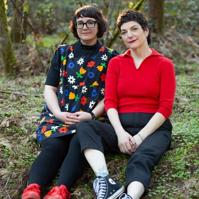 The Softies artist profile
