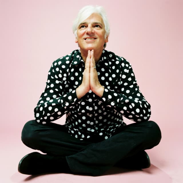 Robyn Hitchcock's artist profile image