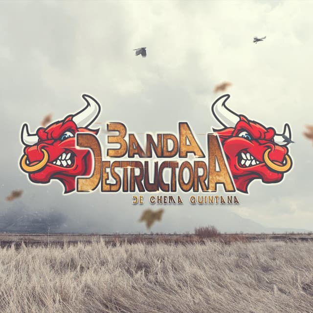 Banda Destructora artist profile image