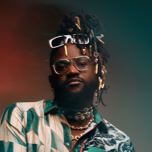 Dr. Chaii artist profile