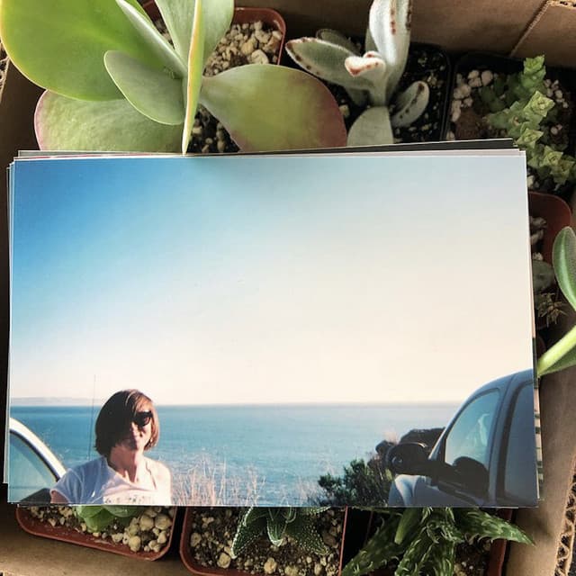 if i die in mississippi artist profile image