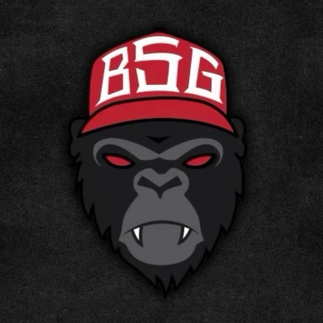 Baby Stone Gorillas's artist profile image