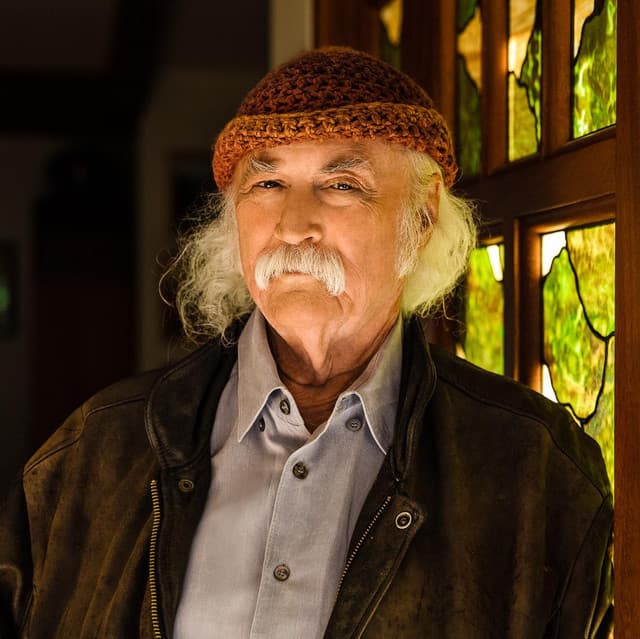 David Crosby artist profile image