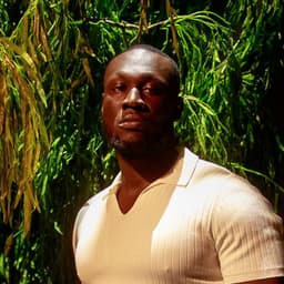 Stormzy's artist profile image