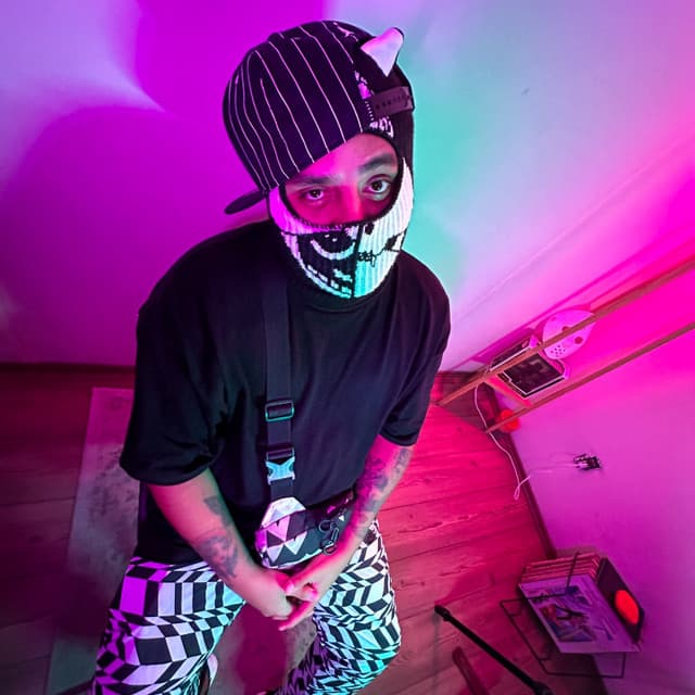 The Lying artist profile image