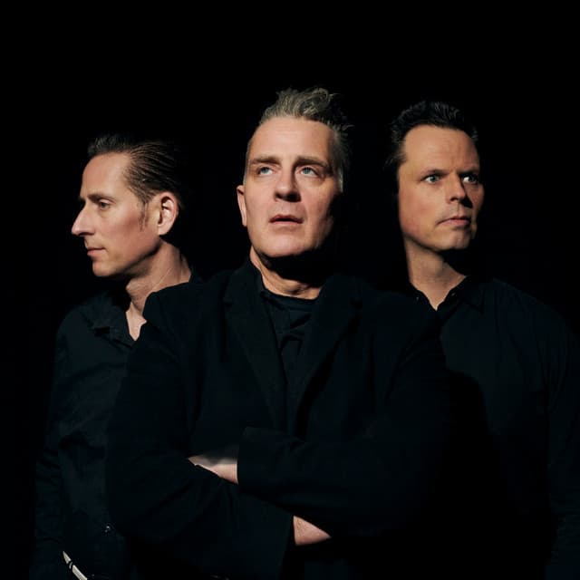 The Peacocks artist profile