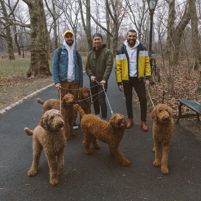 Pool Cosby artist profile image