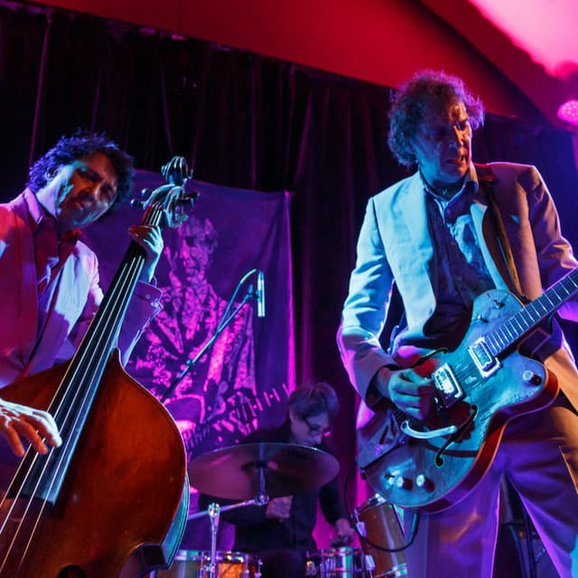 The Sadies's artist profile image