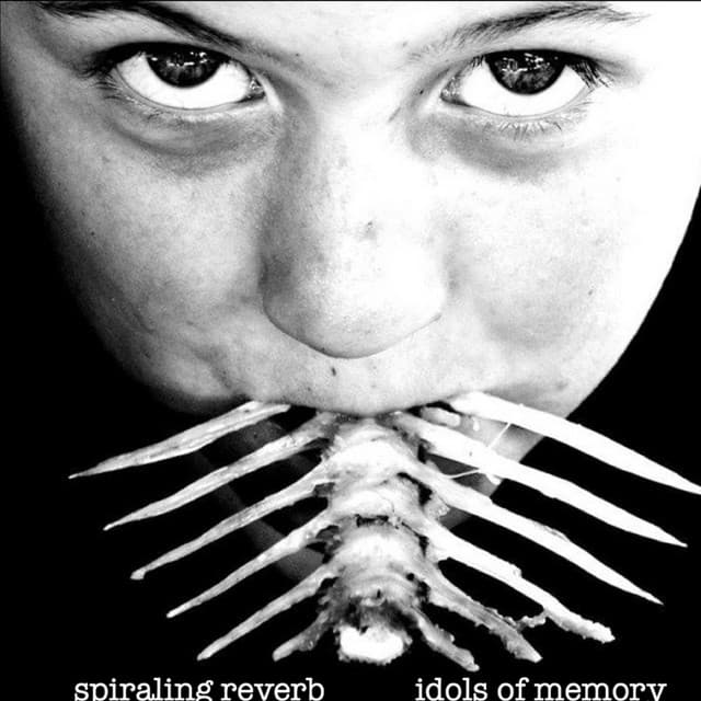 Spiraling Reverb artist profile image