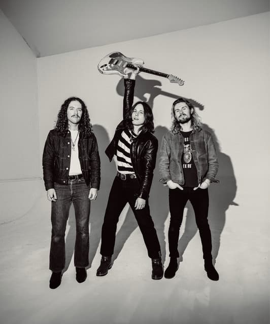 Tyler Bryant & the Shakedown artist profile image