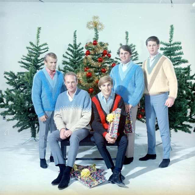 The Beach Boys's artist profile image