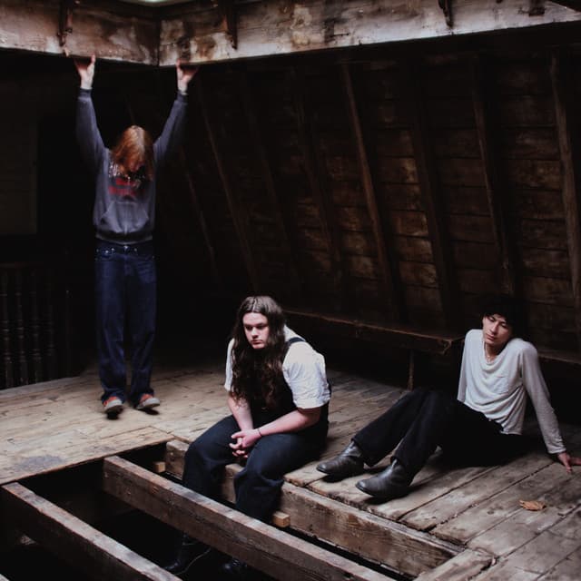 thistle. artist profile image