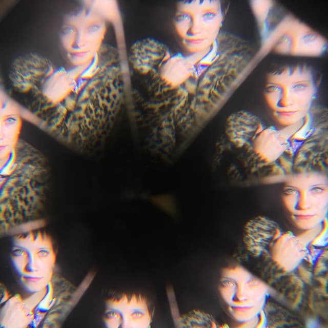 The Shacks artist profile image